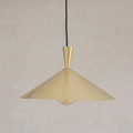 Brushed brass cone pendant with tall tapered neck on a light background
