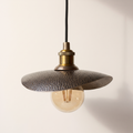 Curved hammered plate pendant in dark bronze finish with brass socket and globe bulb, light background