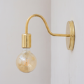 Unlacquered brass gooseneck wall sconce with bare globe bulb